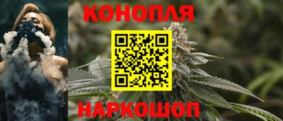 МДПВ Бийск