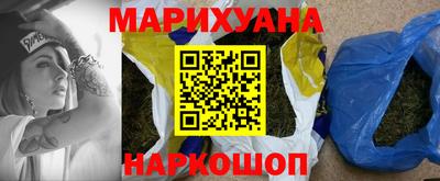 МДПВ Бийск