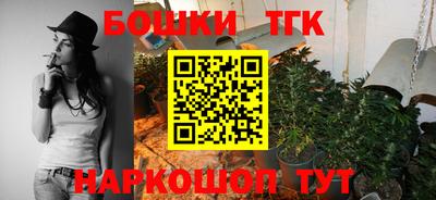 МДПВ Бийск