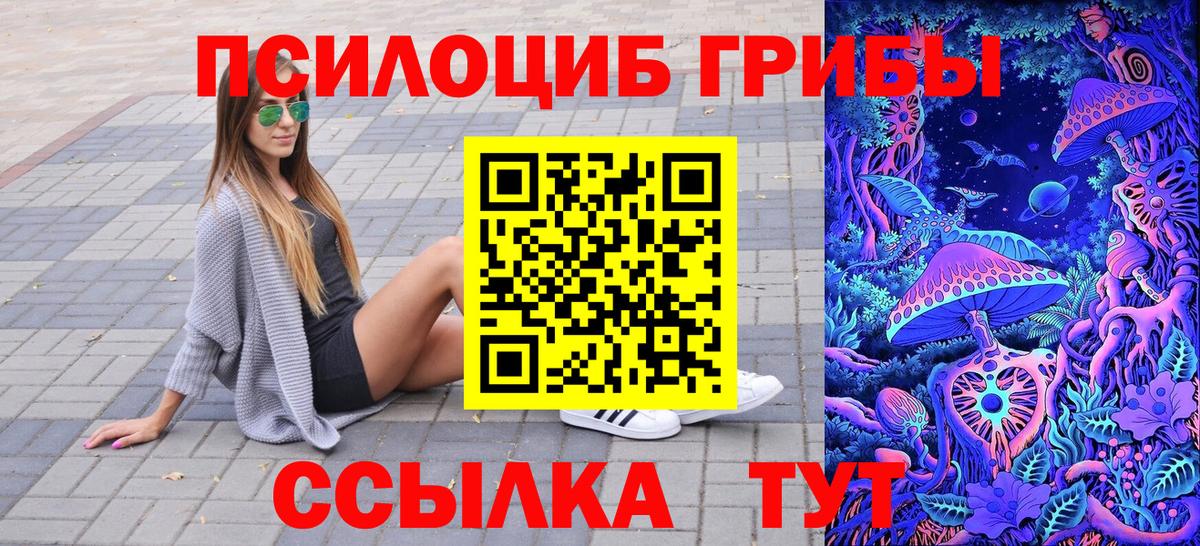 Кольчугино  Галлюциногенные грибы Magic Shrooms  где купить наркоту  Вход с VPN 