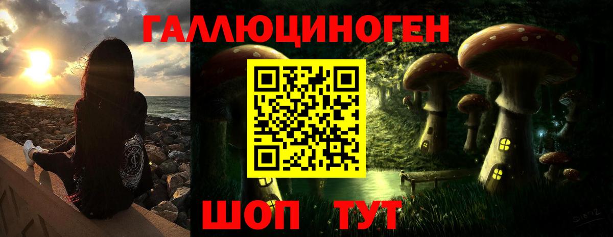 Галлюциногенные грибы Cubensis Кольчугино